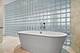 1301 S Wabash Unit 1, Chicago, IL 60605