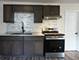 420 N Lockwood, Chicago, IL 60644