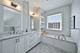 460 Pennsylvania Unit A-1, Glen Ellyn, IL 60137
