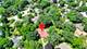 370 Oakwood, Palatine, IL 60067