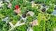 370 Oakwood, Palatine, IL 60067