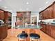 802 Kenmare, Burr Ridge, IL 60527