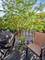 134 Dawson, Elgin, IL 60120