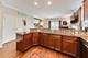4650 W Berteau, Chicago, IL 60641