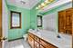 1099 Boneset, Crystal Lake, IL 60014