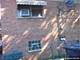 8627 44th, Lyons, IL 60534