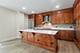 520 S Washington Unit 103, Naperville, IL 60540