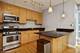1250 S Michigan Unit 2002, Chicago, IL 60605