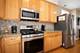 183 N East River Unit C1, Des Plaines, IL 60016