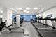 159 E Walton Unit 11E, Chicago, IL 60611