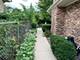 1200 W Palm, Mount Prospect, IL 60056