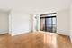 1160 S Michigan Unit 2502, Chicago, IL 60605