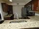 19503 Lake Shore Unit 1, Lynwood, IL 60411