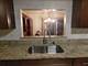 19503 Lake Shore Unit 1, Lynwood, IL 60411