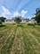 421 N Neltnor, West Chicago, IL 60185