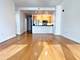 1250 S Michigan Unit 600, Chicago, IL 60605