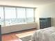 1700 E 56th Unit 2909, Chicago, IL 60637