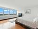 1700 E 56th Unit 2909, Chicago, IL 60637