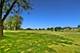 21230 W Walnut Unit D, Plainfield, IL 60544