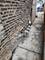1319 S 51st, Cicero, IL 60804
