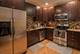 3140 S Indiana Unit LL4, Chicago, IL 60616
