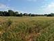 1404 (apx) W Exchange, Crete, IL 60417