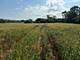 1404 (apx) W Exchange, Crete, IL 60417