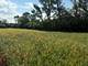 1404 (apx) W Exchange, Crete, IL 60417
