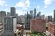 303 W Ohio Unit 2504, Chicago, IL 60654