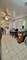 10111 S Lafayette, Chicago, IL 60628