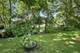 12009 Venetian, Orland Park, IL 60467
