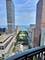 800 N Michigan Unit 3502, Chicago, IL 60611