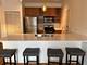 1515 S Halsted Unit 313, Chicago, IL 60607
