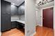 1250 S Michigan Unit 2204, Chicago, IL 60605