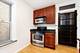 403 S East Unit 2, Oak Park, IL 60302