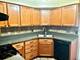 1297 Old Mill, Elk Grove Village, IL 60007