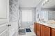 941 Brahms, Volo, IL 60073