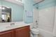 941 Brahms, Volo, IL 60073
