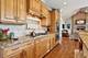 941 Burton, Glenview, IL 60025