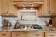 941 Burton, Glenview, IL 60025