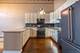22 N Morgan Unit 211, Chicago, IL 60607