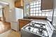 7212 Oak Unit 3NE, River Forest, IL 60305