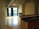 1150 W 15th Unit 237, Chicago, IL 60608