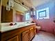 8515 S Kedvale, Chicago, IL 60652