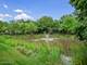 510 Banyon Unit C, La Grange, IL 60525