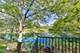 5020 Arbor Unit 202, Northfield, IL 60093