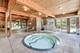 5020 Arbor Unit 202, Northfield, IL 60093