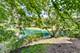 5020 Arbor Unit 202, Northfield, IL 60093