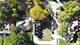 5603 S Garfield, Hinsdale, IL 60521