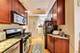 528 W Cornelia Unit 3S, Chicago, IL 60657